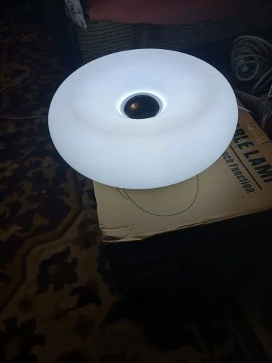 Lampe blanche Donut tactile USBC plastique télécommande 16 couleurs
