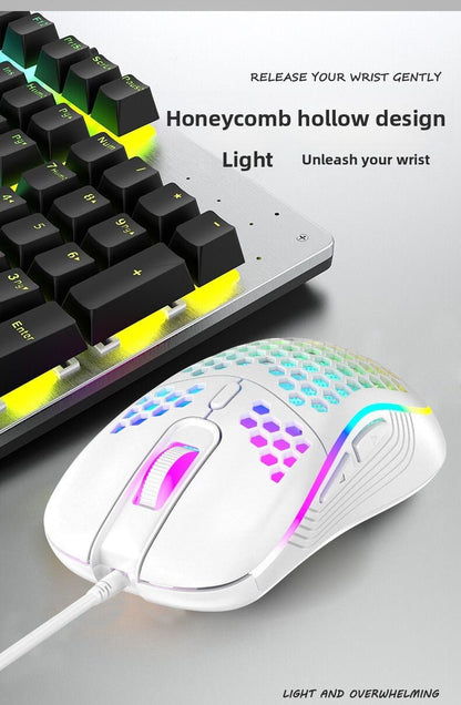Souris Filaire RGB nid d'abeilles blanche